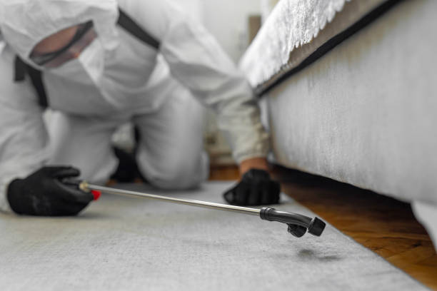 Professional Cockroach Control technician working in Miller Place, NY